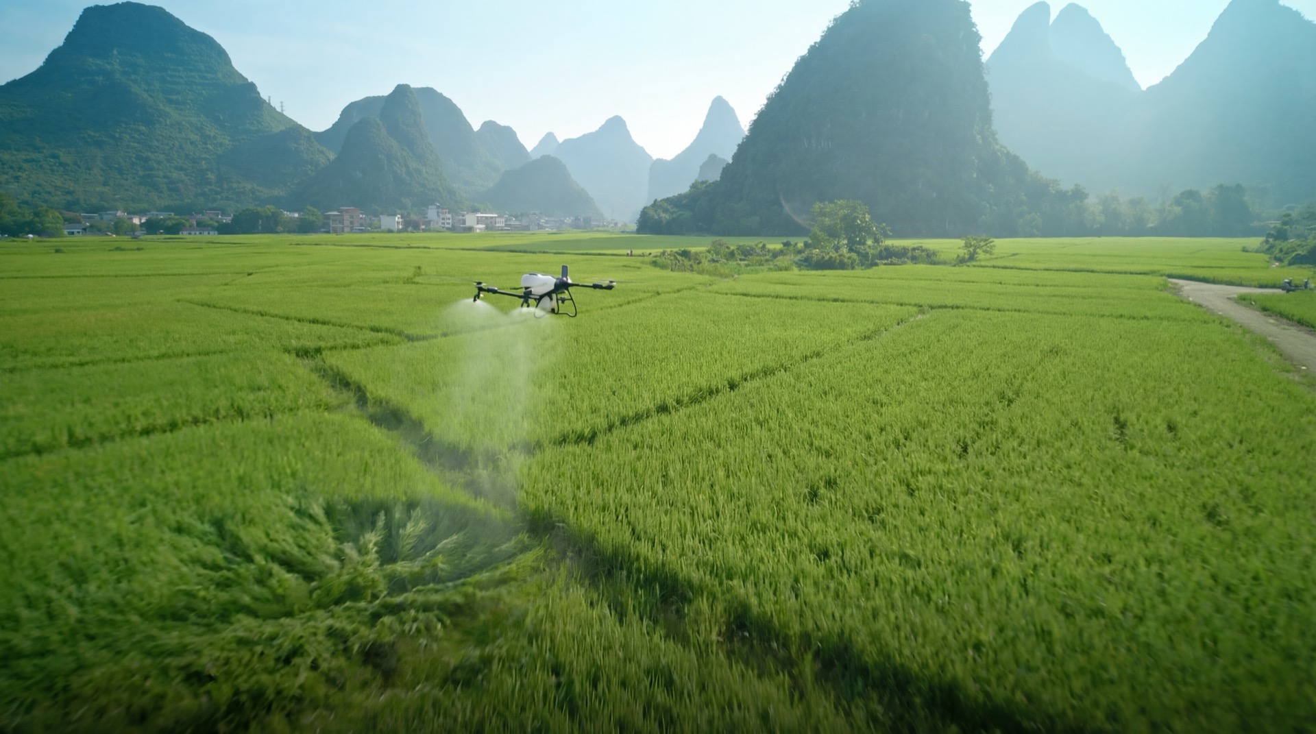 Drone over karst rice fields